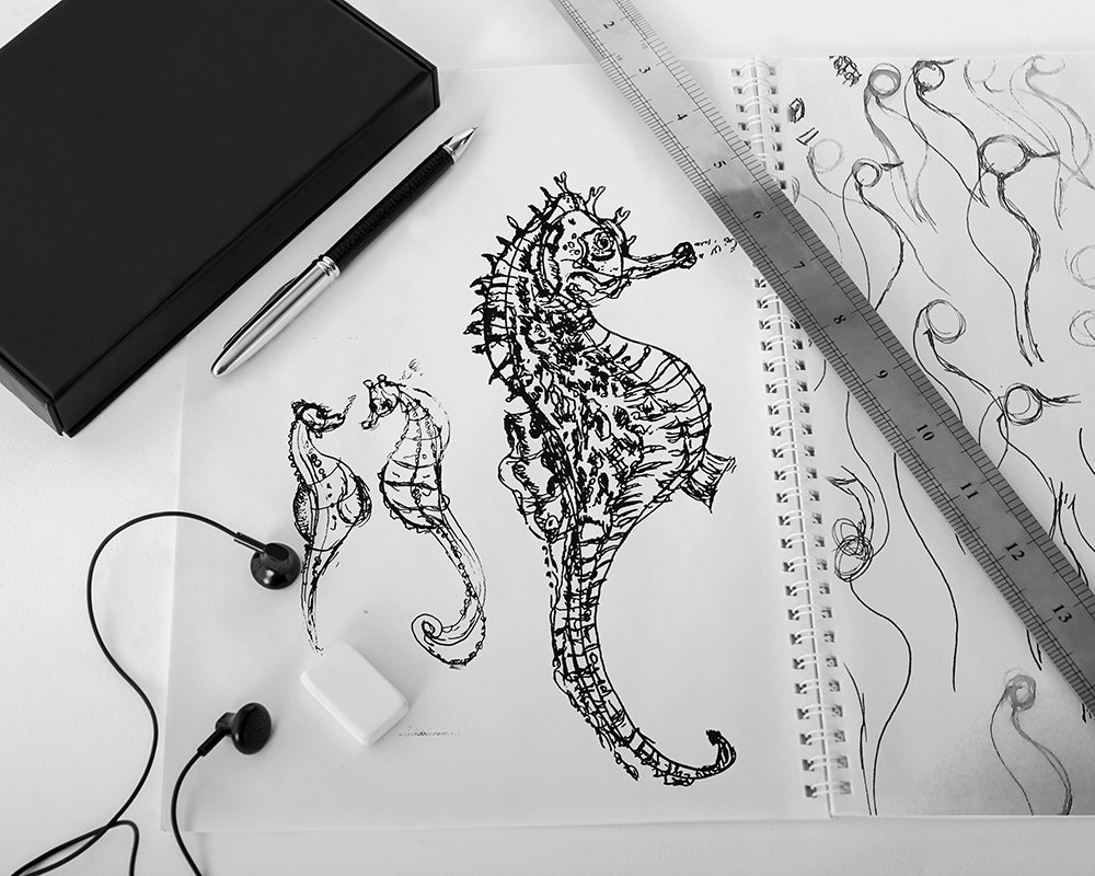 SalomaaMohsen's tweet photo. Quick Sketch 20
Study DYNAMIC SKETCHING 2
#sea creatures
#compoundshape
#day13
#inktober2017day13 #inktober
#inktober2017 #ink #drawingsketc https://t.co/GH6vke3ITj