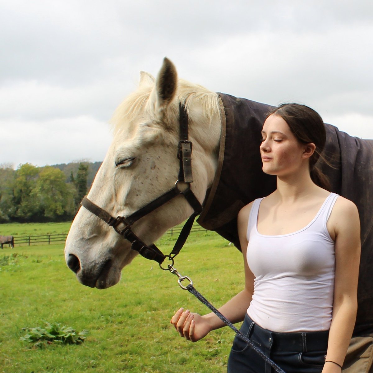 Taking a bonding moment #love #horse