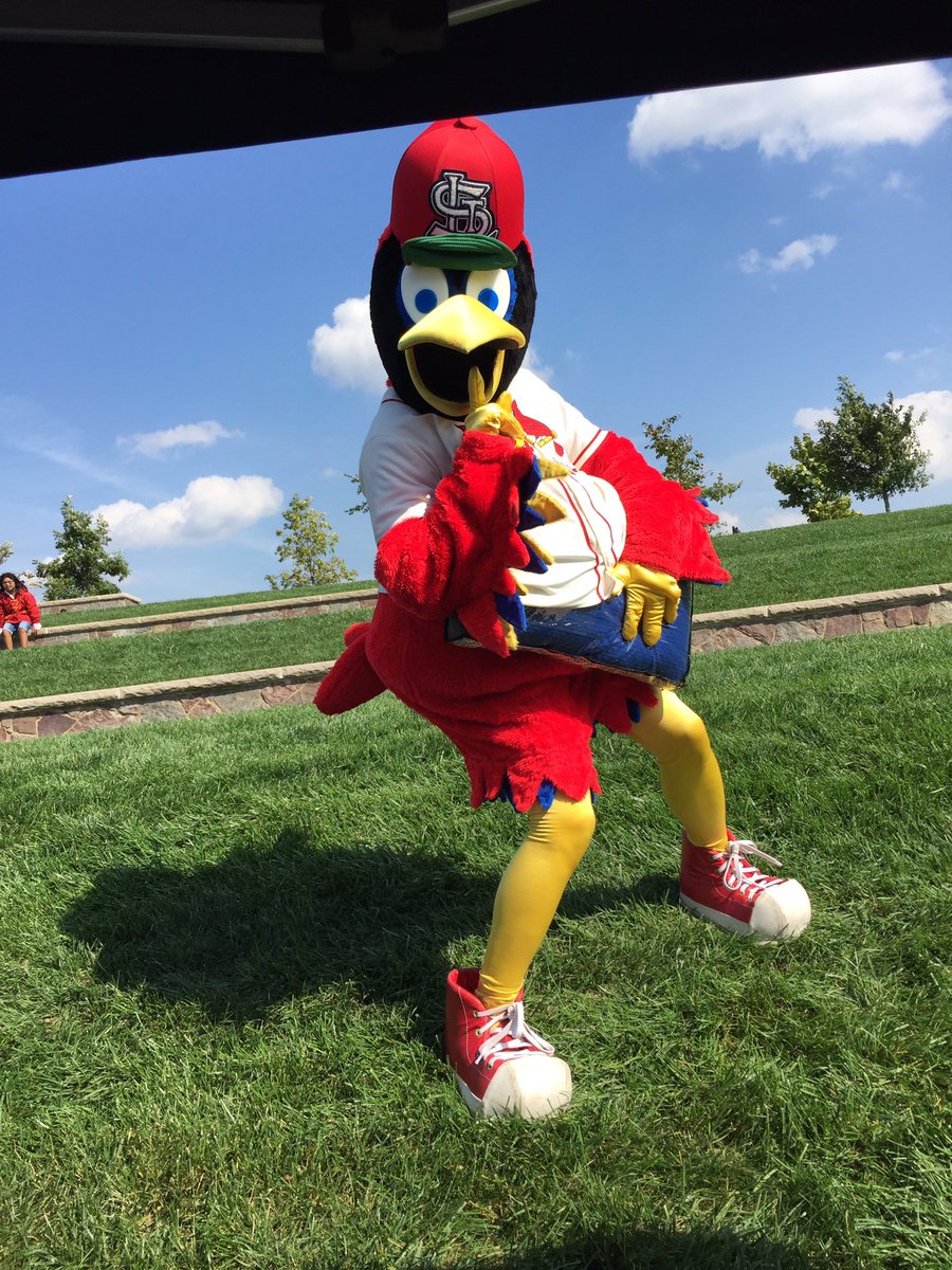 Hey <a href="/Cardinals/">St. Louis Cardinals</a> if you wanna do a <a href="/bedgear/">BEDGEAR</a> pillow like <a href="/StLouisBlues/">St. Louis Blues</a> just call us. <a href="/ChesterfieldPD/">Chesterfield Police</a> might have <a href="/TeamFredbird/">Team Fredbird</a> in lockup....