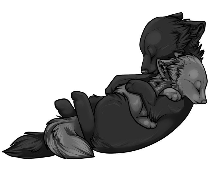 “He’ll always protect me from anything.. i love you copper. My hero.”

<a href="/copperthepup001/">☠️Çöppér ☠️</a>