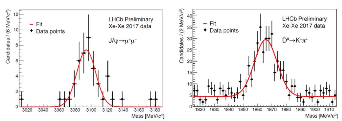 Niels_Tuning's tweet photo. How do you observe a particle that decays in a split second? Like a peak in a distribution of collisions! Even charm quarks in Xe-Xe @LHCXe https://t.co/6jnyb1N5HJ
