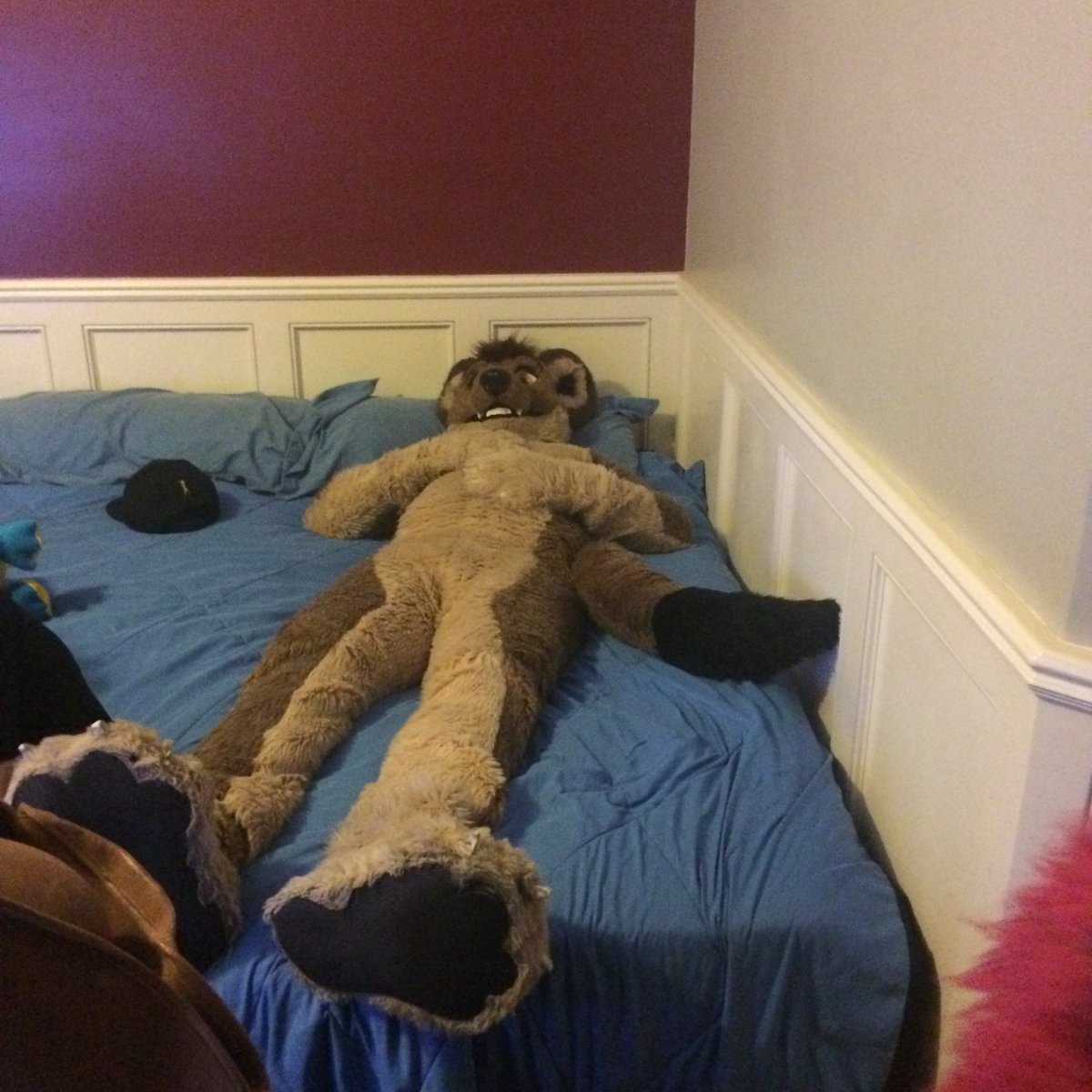 Diesel_Derp's tweet photo. One more from #AFC2014 is an @SkruggWeasel small bell. To me this is still the cutest MFY suit to me #ThrowBackSaturday https://t.co/Y8PWx0F2mQ