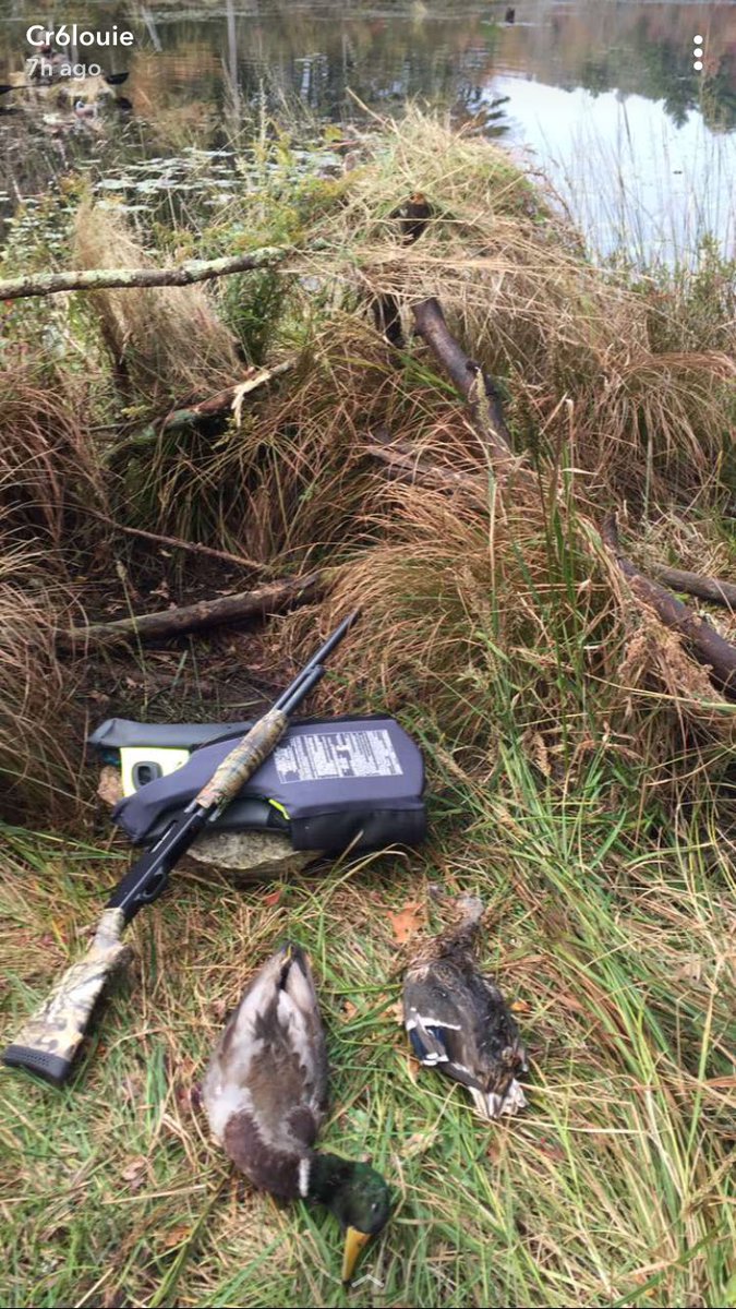 Louie Tarvis (@louie_tarvis) on Twitter photo 