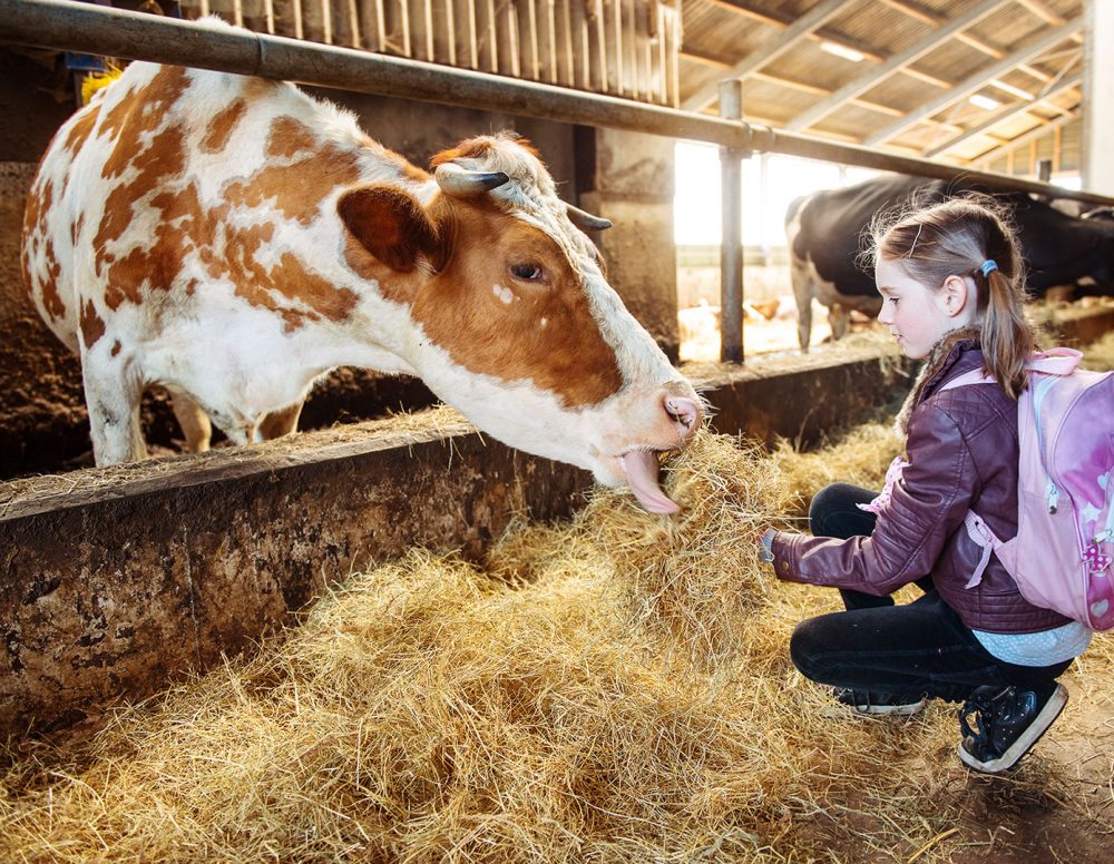 ColonyLimo's tweet photo. Now, schools across the country are making the connection to local farms and ranches.
#FarmtoSchool #ColonyLimo
https://t.co/eNU4Lqe4Kf https://t.co/DDYqXwdblP