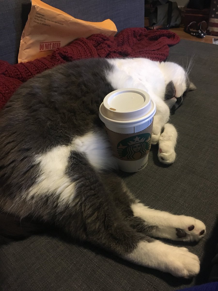 #ellenratemycat <a href="/TheEllenShow/">The Ellen Show</a>