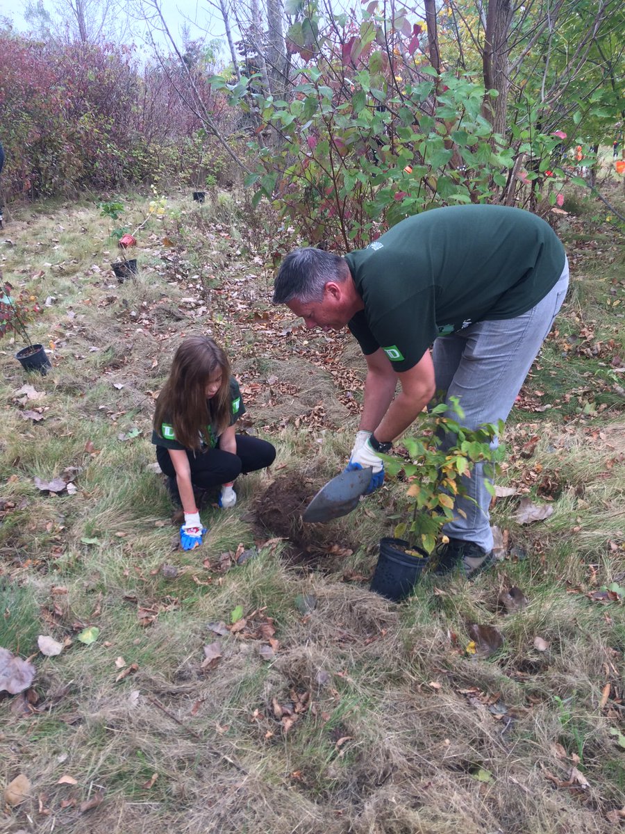 triciabryarstd's tweet photo. #TDTreeDays Oakville. A very well organized day for planting 450 trees, with perfect weather. https://t.co/buadcz4DBA