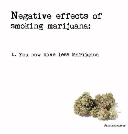 CannaHelper's tweet image. I knew it~~ #DecriminalizeNow #WeedProblems