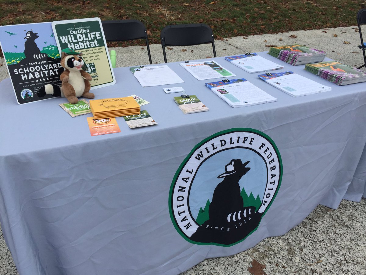 HollyLShields's tweet photo. Hanging out @ParksandPeople Seed Swap this morning. Meeting lots of current and future wildlife gardeners! https://t.co/6iZNRJpwTY