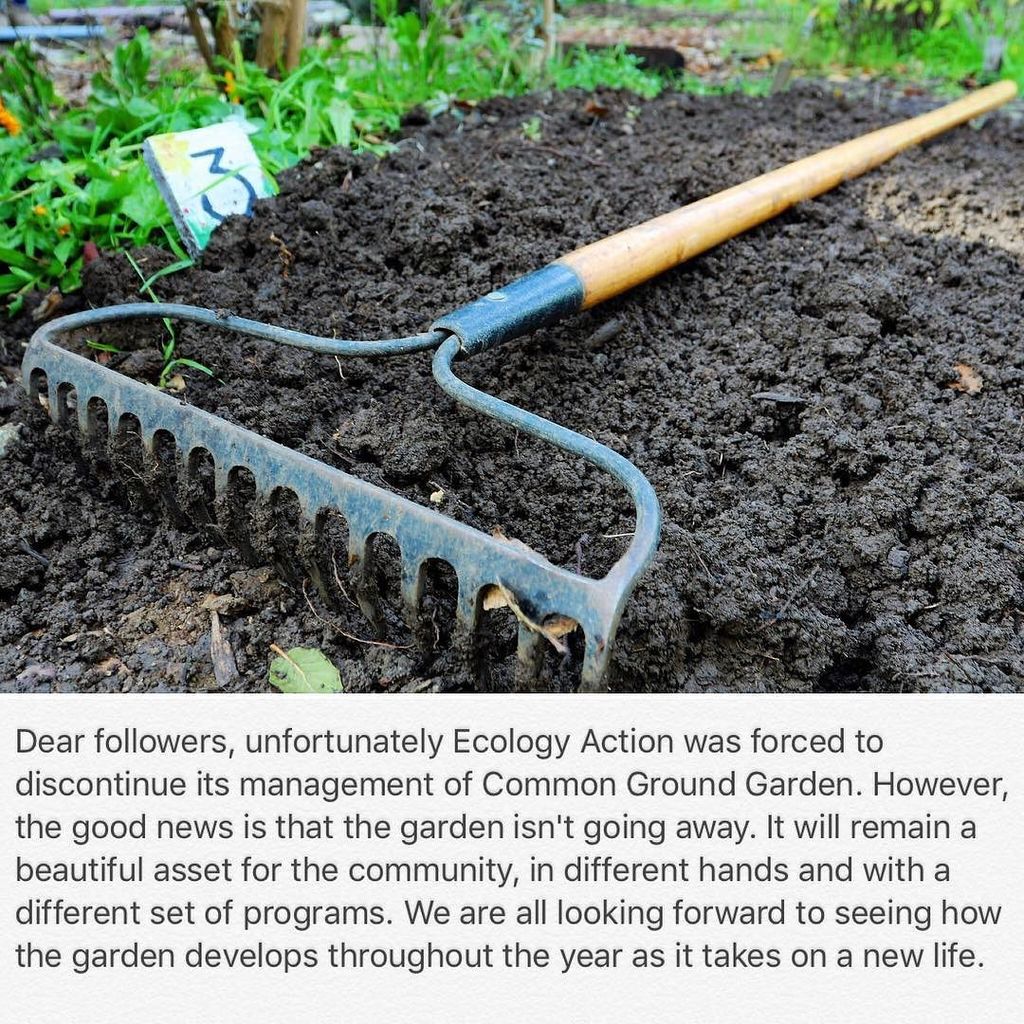 Dear followers, unfortunately Ecology Action was forced to discontinue its management of #CommonGroundGarden. However, the good news is tha…