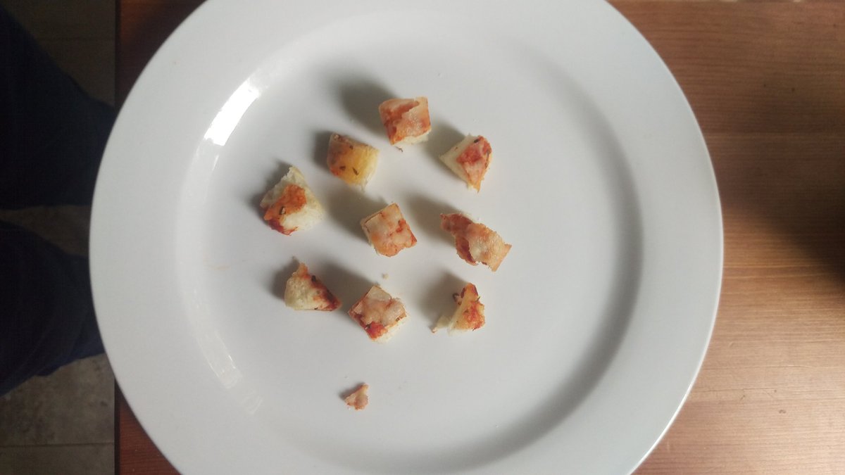 TOCatMayor's tweet photo. @Ratatosk4 @OrderRodentia @trumps_squirrel @Coffee4Squirrel @HippySquirrel @Lolly_Squirrel @MadCitySquirrel @SquirrelBeebz @MuhlenSquirrel @SquirrelWestend @HyperLethal117 See exhibit A from my latest #pizzaresearch experiment, proving humans can be trained to cut pizza into #squirrelsize pieces! https://t.co/M0SecfM7Zu