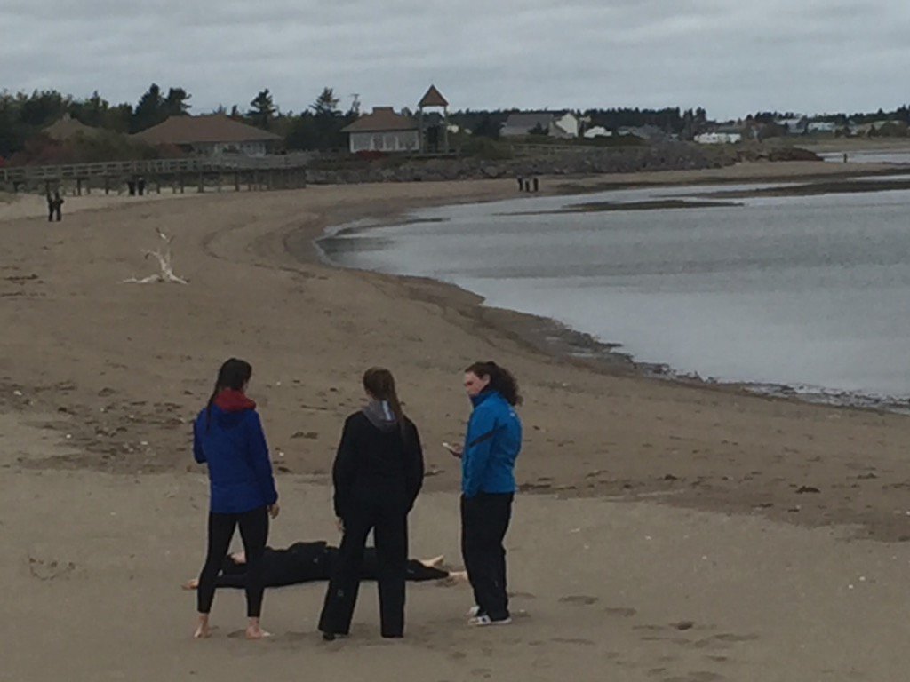 <a href="/EHpenguins/">ProCresting Penguins</a> Team Building in Irving Eco Centre at Bouctouche Dunes @TheNSFMHL#roadietomiramichi