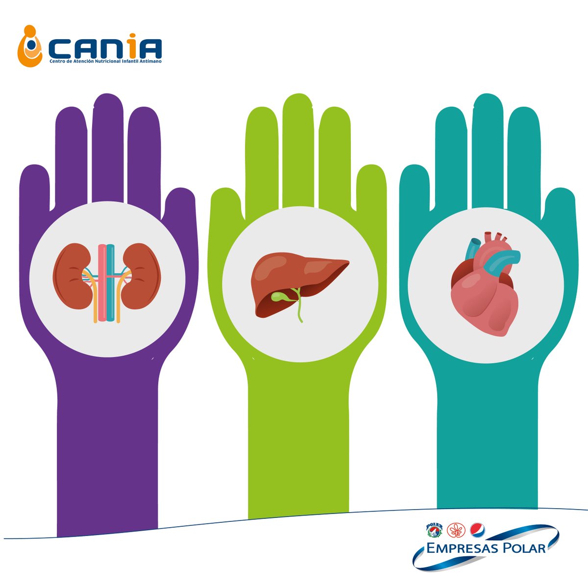 CANIAoficial's tweet photo. La donación de órganos y tejidos resulta de vital importancia para mejorar la calidad de vida de las personas que los necesitan #SoyDonante. https://t.co/0HgwdRPVNZ