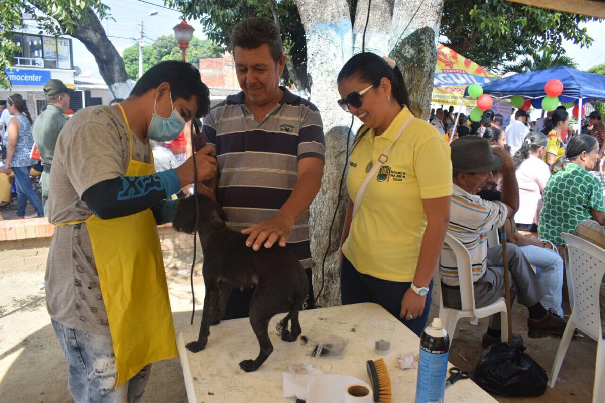 AlcaldiaCucuta's tweet photo. Porque los animalitos también son parte importante para nuestra Administración, realizamos con éxito la campaña "Tu Mascota y la Alcaldía". https://t.co/B4VoqKV9I1