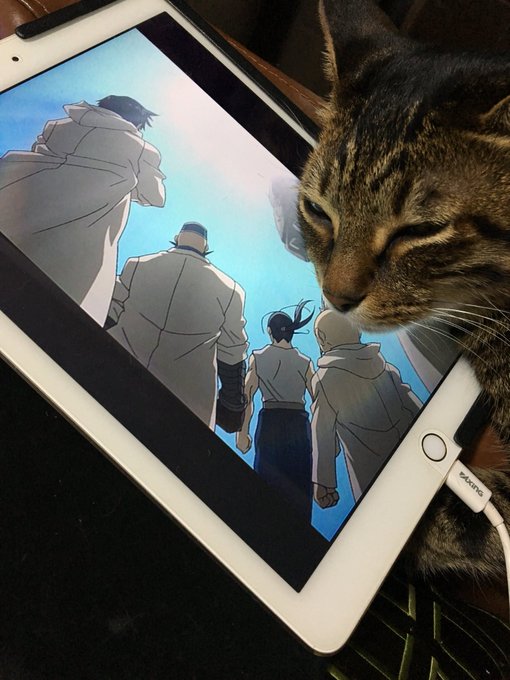 タブレットが好きな猫♂ https://t.co/CWi2nlGfoo