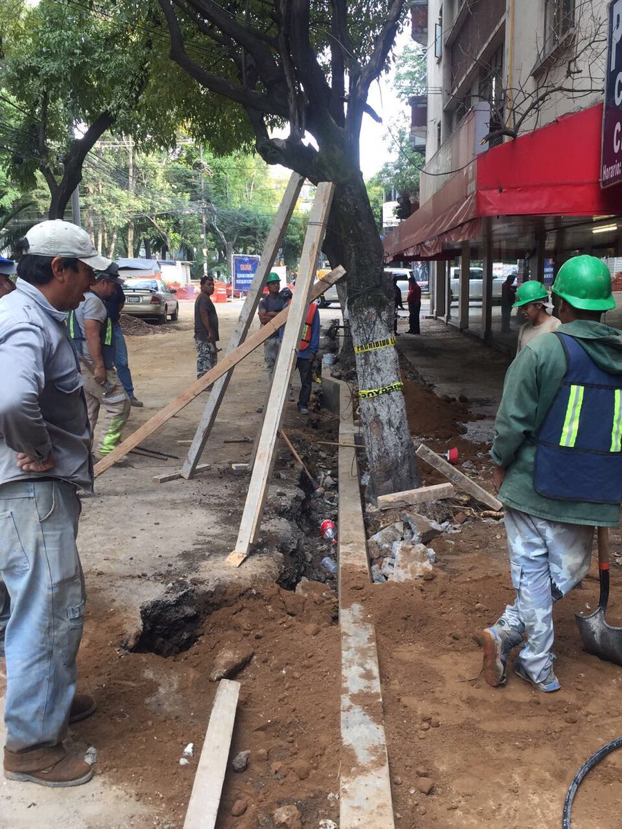 marianimalover's tweet photo. En la obra de Alfonso Reyes #Condesa mataron un árbol, ¿dónde se denuncia esto?  @supercivicosmx @DelCuauhtemoc https://t.co/fapRsACjYo