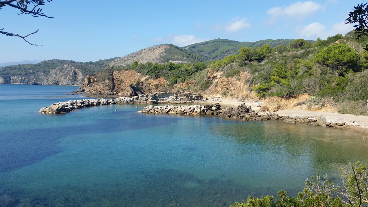 Felciaio Hashtag On Twitter