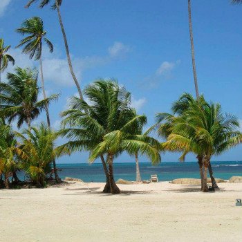 Forget Everything You Thought You Knew About Luxury Cruises! Sam’s guest post is live on <a href="/travelers_q/">travelers_q</a> now! 

travelersq.com/forget-everyth…