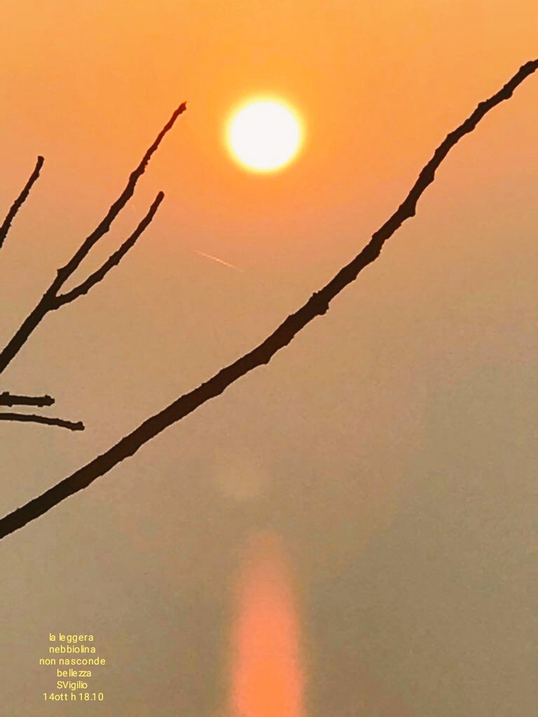 AldinaConsolini's tweet photo. @domenicosaretto @magibilo @RenzinaCeriani1 @scaporrelli @OMiglioranzi @montirosangela @Daluig @MardeganBruno @Mardegandrea @MaxMoscarello La #bellezza d'un tramonto non è che un pallido riflesso della #Verabellezza che sta gustando Betta
premio d'una vita con/per Lui
#eternità https://t.co/roZymoEVg7
