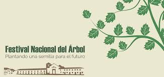 Angelikdesign's tweet photo. Una vez mas tengo la oportunidad de visitar @VilladeLeyvaCol y su Festival Del Árbol... 😍😍😍 enamorada de este hermoso municipio...... https://t.co/4W2vjOPZZZ