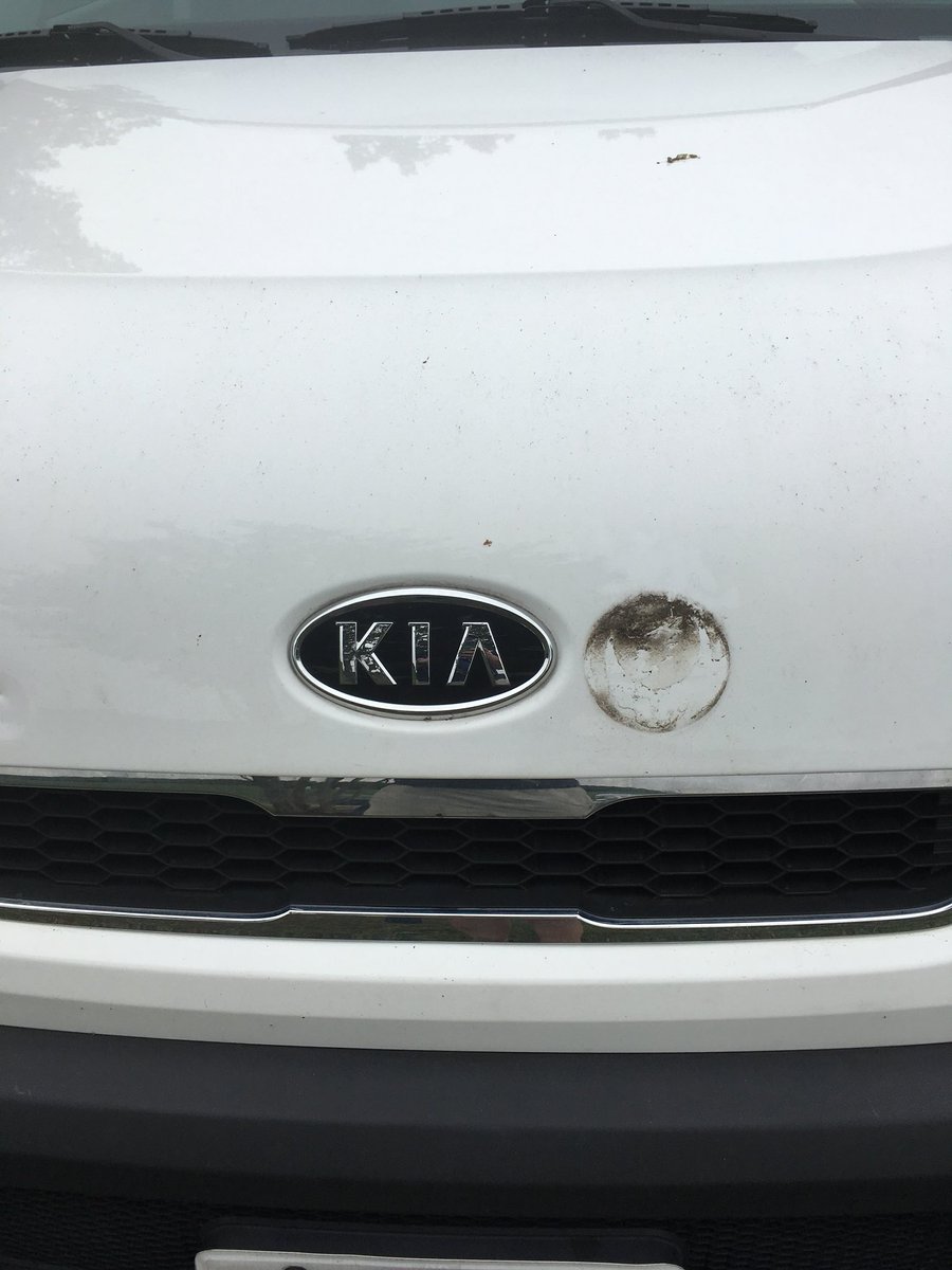 rugger4equality's tweet photo. #TFW you realize that someone stole your Steal Your Face emblem. #deadheadproblems https://t.co/KxWJudqaFl