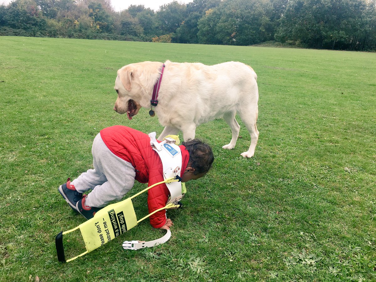 Kika_GuideDog's tweet photo. I'm confused! 🐾🙈🤣
#TheKikaEffect #MyLittleBroEffect #GuideDog https://t.co/tfIFYmUWjN