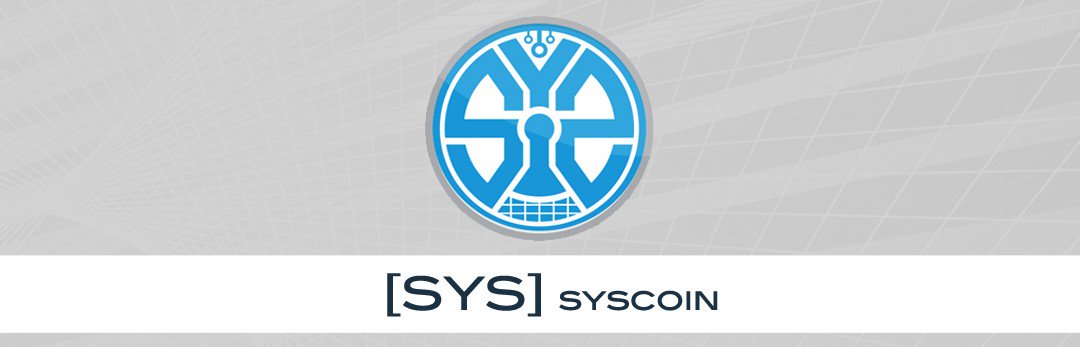 CryptoAsian's tweet image. $SYS Syscoin: Very active development, MKCap at POD (8/20/14) $743k, Current MKCap $81.6m. proofofdev.com/sys-syscoin/ #PODreview 10000% ⬆️