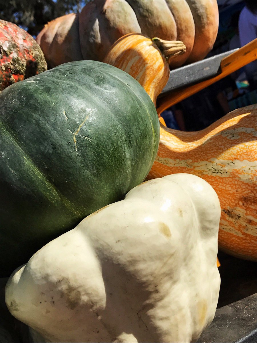 WinterGarden_FM's tweet photo. It’s looking a lot like Fall out at the Health and Harvest Festival today!
🎃
#WinterGardenFarmersMarket #HealthAndHarvest https://t.co/ijCjD9qlRQ