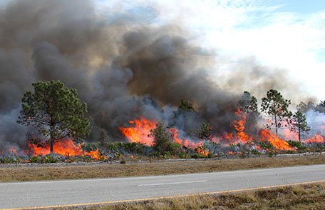 AirQualityMask's tweet photo. Air Filter Mask to Protect Yourself from Wildfire Smoke: #AirMask #SmokeMask #Wildfires #California #Smoke https://t.co/XxbvOVPY4c https://t.co/2nSfPPu4Pu