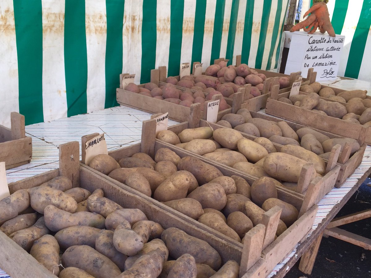 anthonyleroy63's tweet photo. Sur la commune de #Biollet pour la 30ème foire à la pomme de terre 🥔
Une journée au coeur des #Combrailles !
#Traditions #ruralité https://t.co/beqN2pzL8f