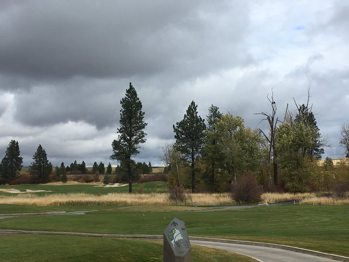 markusglf11's tweet photo. Have a great day. Greetings from the Circling Raven. Rare siting if 2 eagles sitting side by side https://t.co/idzuyZWvOQ