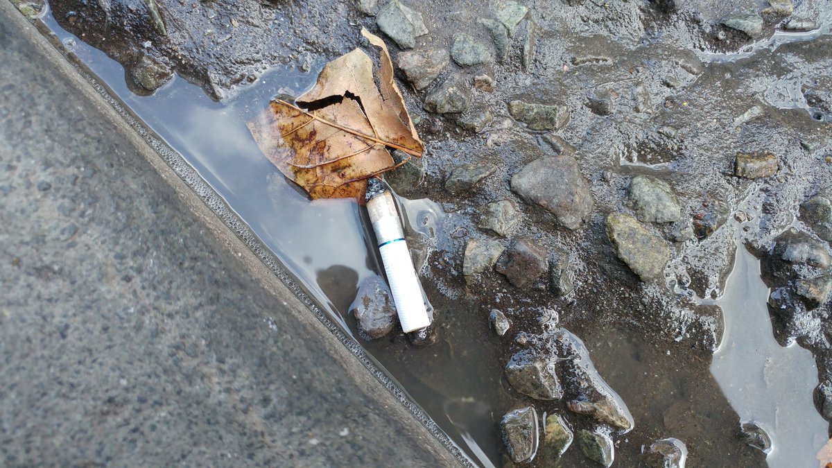 LDNWaterkeeper's tweet photo. Still a major source of water pollution, laced with toxins &amp; tiny plastic fibres. This is avoidable - cigarette butts go in a bin https://t.co/5SSTArpODc