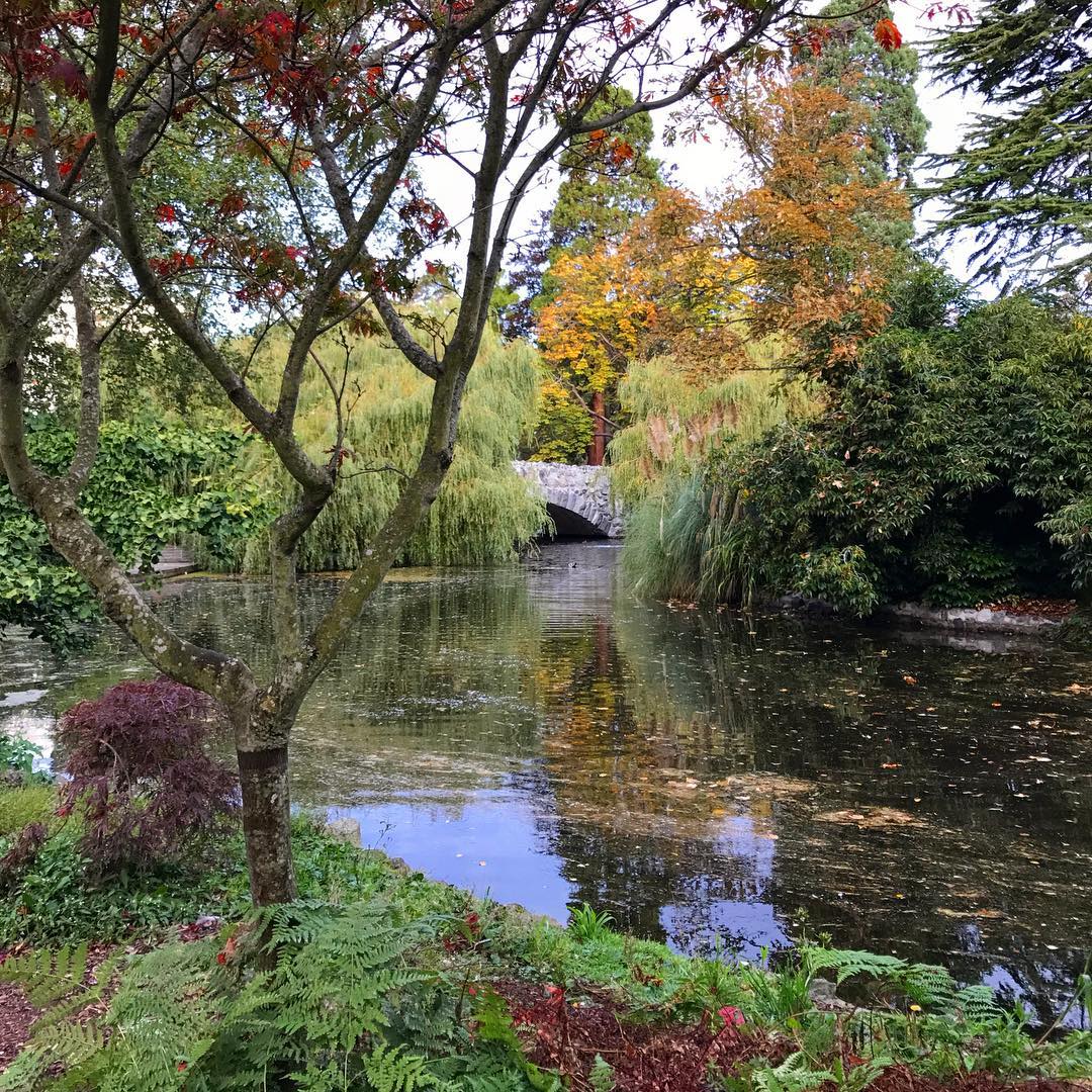 victoriavisitor's tweet photo. Fall colours at Beacon Hill Park. Today's #ExploreVictoria POTD by Instagrammer enviro_jess 🍂 #fall https://t.co/Kaayobi0BZ