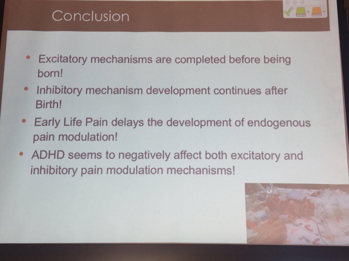 NoNeedlessPain's tweet photo. @Serge_Marchand giving outstanding pain experience and perception talk #Ifpp2017 https://t.co/9xDHcxWaRC