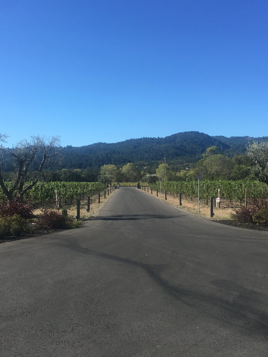 MendingWallWine's tweet photo. A positive view today in the long journey ahead. Thank you to our hard working crew at MW, the firefighters, volunteers, heroes and friends. https://t.co/Osr3rYdVeg