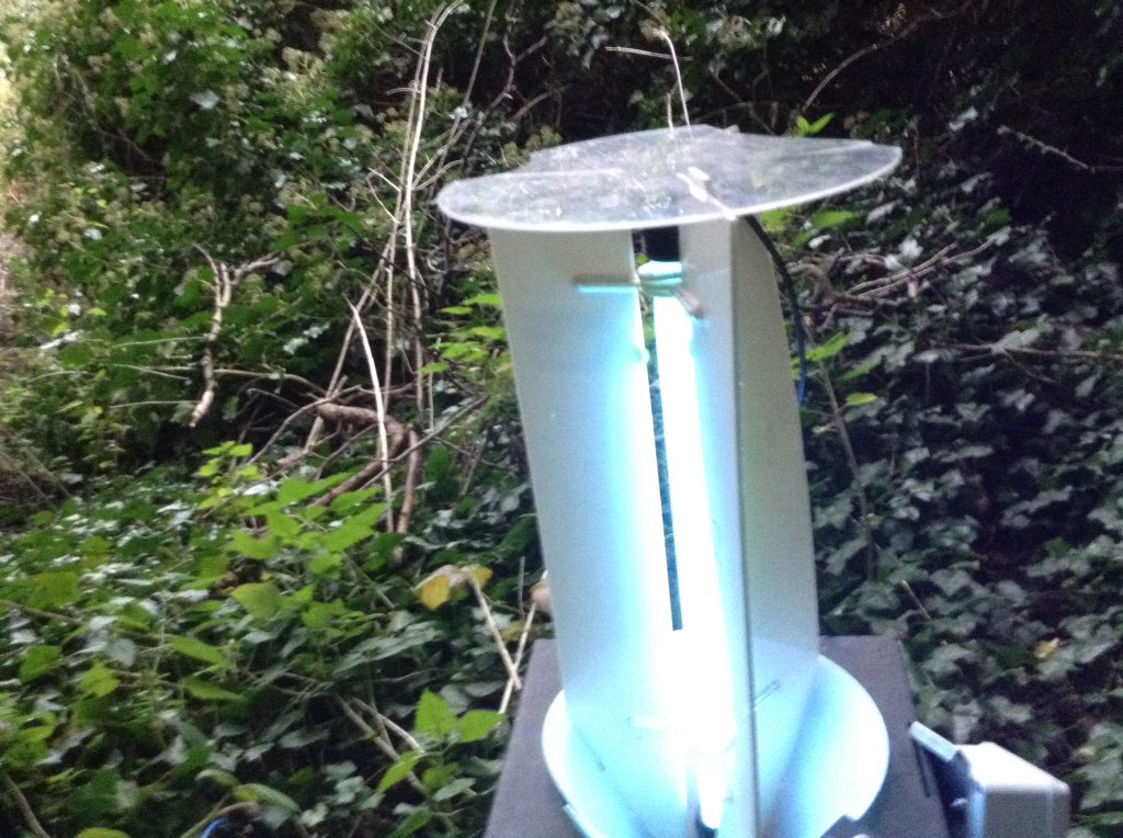 BlotchedEmerald's tweet photo. #Mothing at #Perivale Wood. Hopefully this light ivy blossom combo will prove a hit. #MothNight #mothnight2017 @savebutterflies https://t.co/K48rdSQsqW