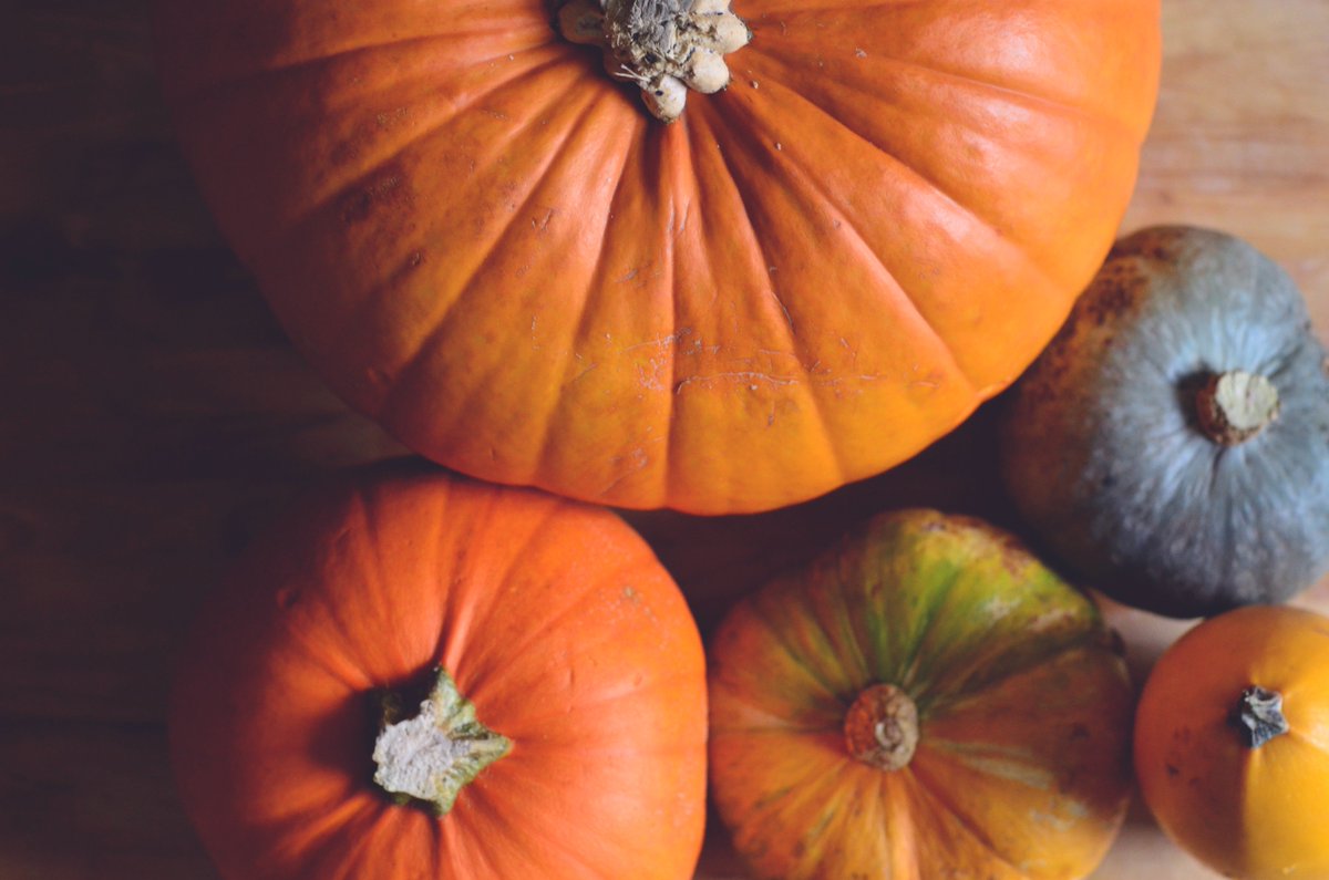 dirtydirtybeans's tweet photo. It's the most beautiful time of year for us foodies 🍂🎃

https://t.co/yuo0EP9jeO

#vegan #veganhour #plantbased #pumpkins #halloween https://t.co/SXhPLO9Kem