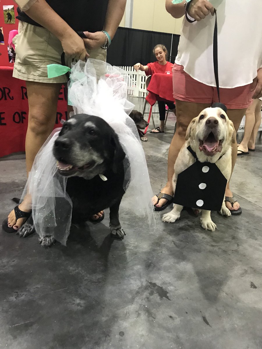 samsminknews's tweet photo. We’ve even got a bride and groom at the #countdown2zero event. https://t.co/Yneho6T4re