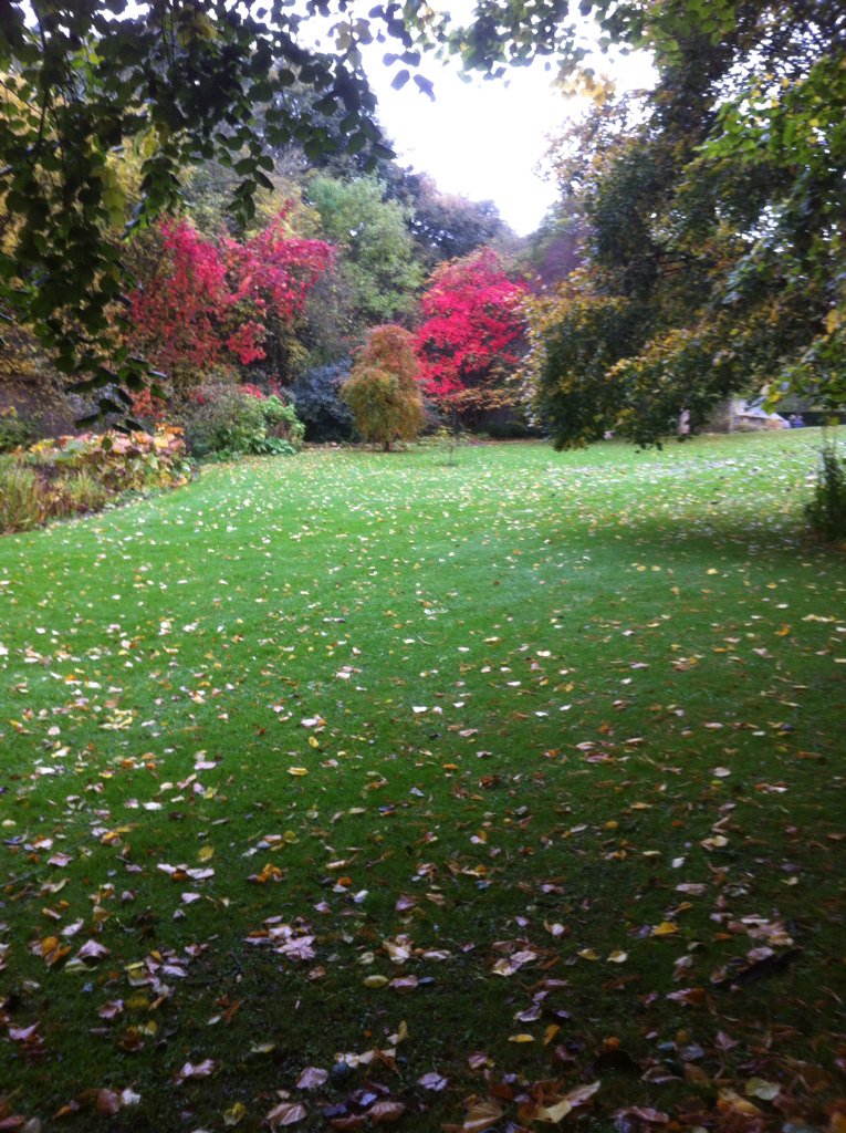 Gillco61's tweet photo. Beautiful Autumn colours at Wallington Hall. https://t.co/cPEZ4YY8CQ