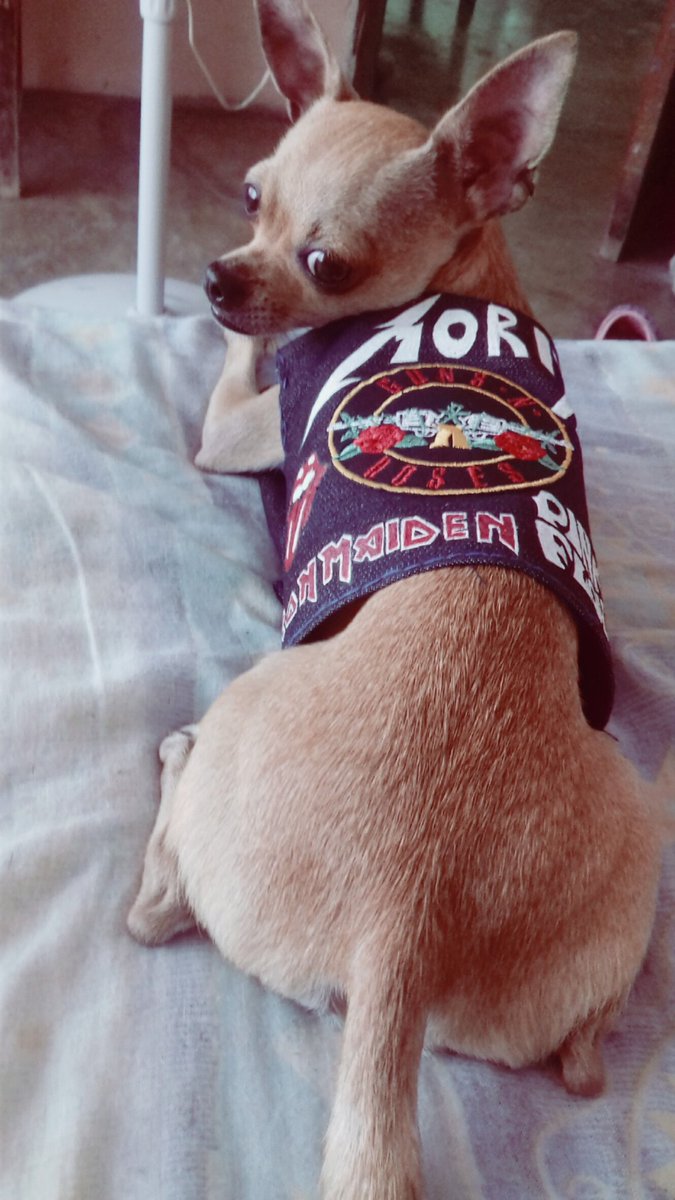 CinthiaM97's tweet photo. Bien rockera lol
#rock #gunsnroses #ironmaiden #pinkfloyd #THEROLLINGSTONES #metallica #classicrock #heavymetal #hardrock #rocknroll https://t.co/m7J1kyFcFv