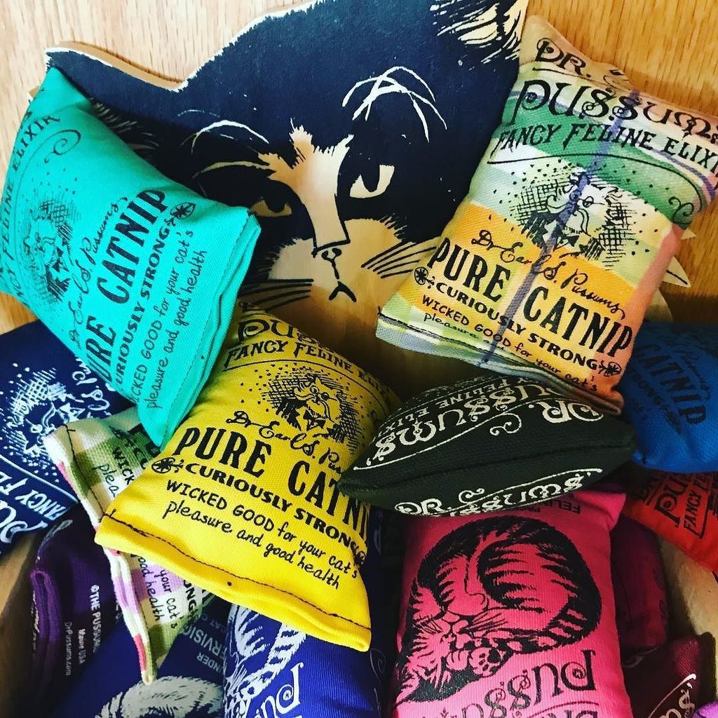TecaTuSantaFe's tweet photo. Think your kitty would like some Pussums Fancy Feline Elixir? 😻 #caturday #catnip #tecatu #pawsworthy #discoverdev… https://t.co/96FzVaIBLV https://t.co/wRLZgbPfbJ