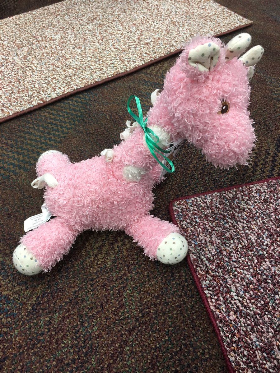 cachennessy's tweet photo. Guess who's ready for the teddy bear sleepover at @cidlibrary?  What adventures will you have Giraffe? https://t.co/P2rf6OBmu1