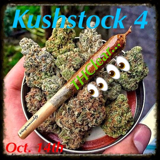 THClearCo's tweet photo. Who is going to the #Kushstock festival this year??? You can catch our rep @THClear_Jordan there with some #THCLEAR products!! 😎👀🔥 #mmj https://t.co/bd3wYhbyJW