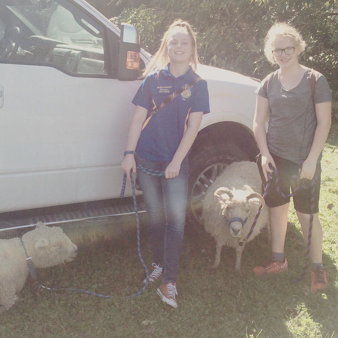 SenecaUrbanAG's tweet photo. Come see us and visit the #pettingzoo at the fall festival! #ffaadvisor #agteacher @SenecaPrincipal @DamienSweeney33 @KristanWright2 https://t.co/ItVxrfwyPC