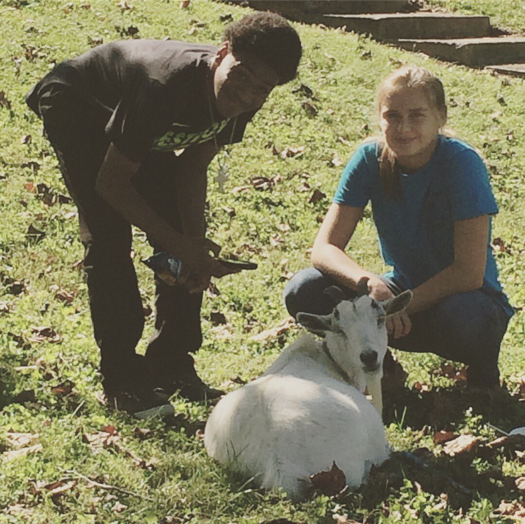 SenecaUrbanAG's tweet photo. Come see us and visit the #pettingzoo at the fall festival! #ffaadvisor #agteacher @SenecaPrincipal @DamienSweeney33 @KristanWright2 https://t.co/ItVxrfwyPC