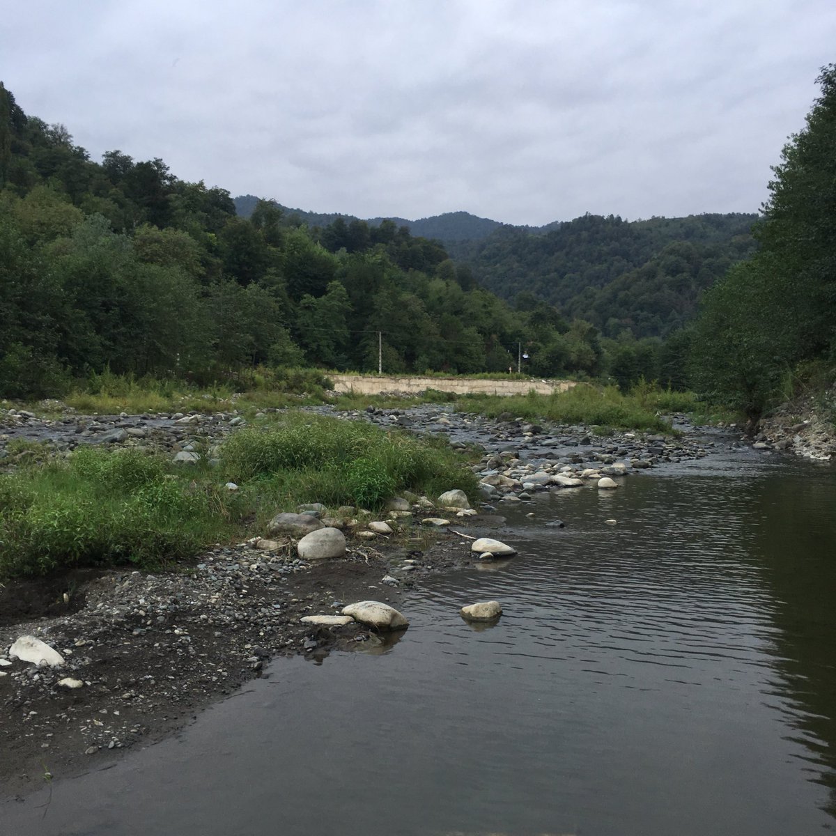 FarsiBooks's tweet photo. Our nature
#Iran #North #Gilan #Langroud #Khorma https://t.co/J3zFCA9OpV