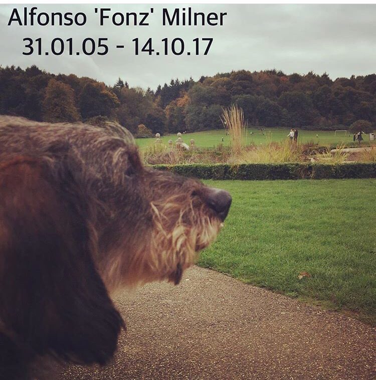 SausageArmyHQ's tweet photo. #SausageArmy join together in showing our love for our dear friend and leader βThe Generalβ #FonzWillNeverBeForgotten #RIPFonz https://t.co/3Y7KbSPeZj