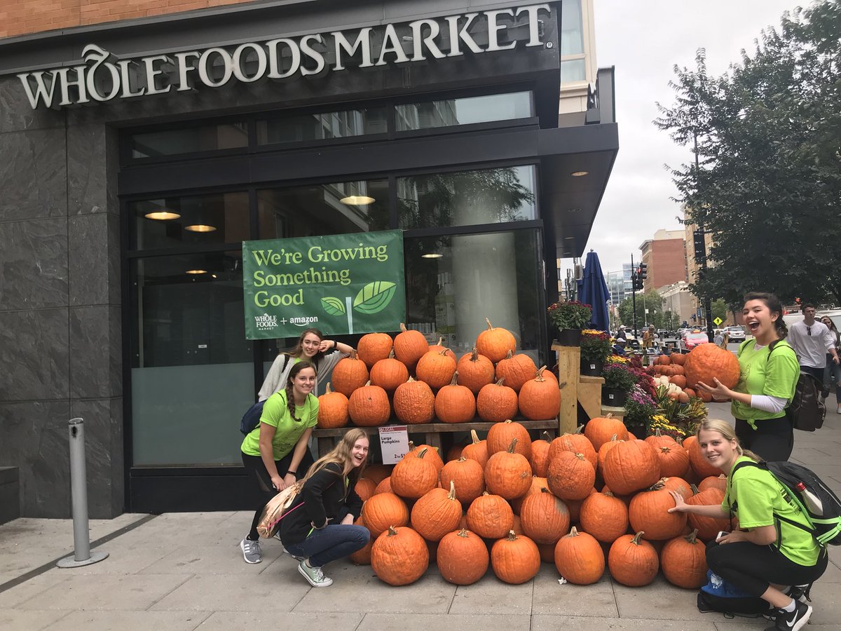CakeByPotomac's tweet photo. Pumpkin spicy! #gwnomz #CakeByThePotomac @bighuntGU https://t.co/JFU4qQWmem