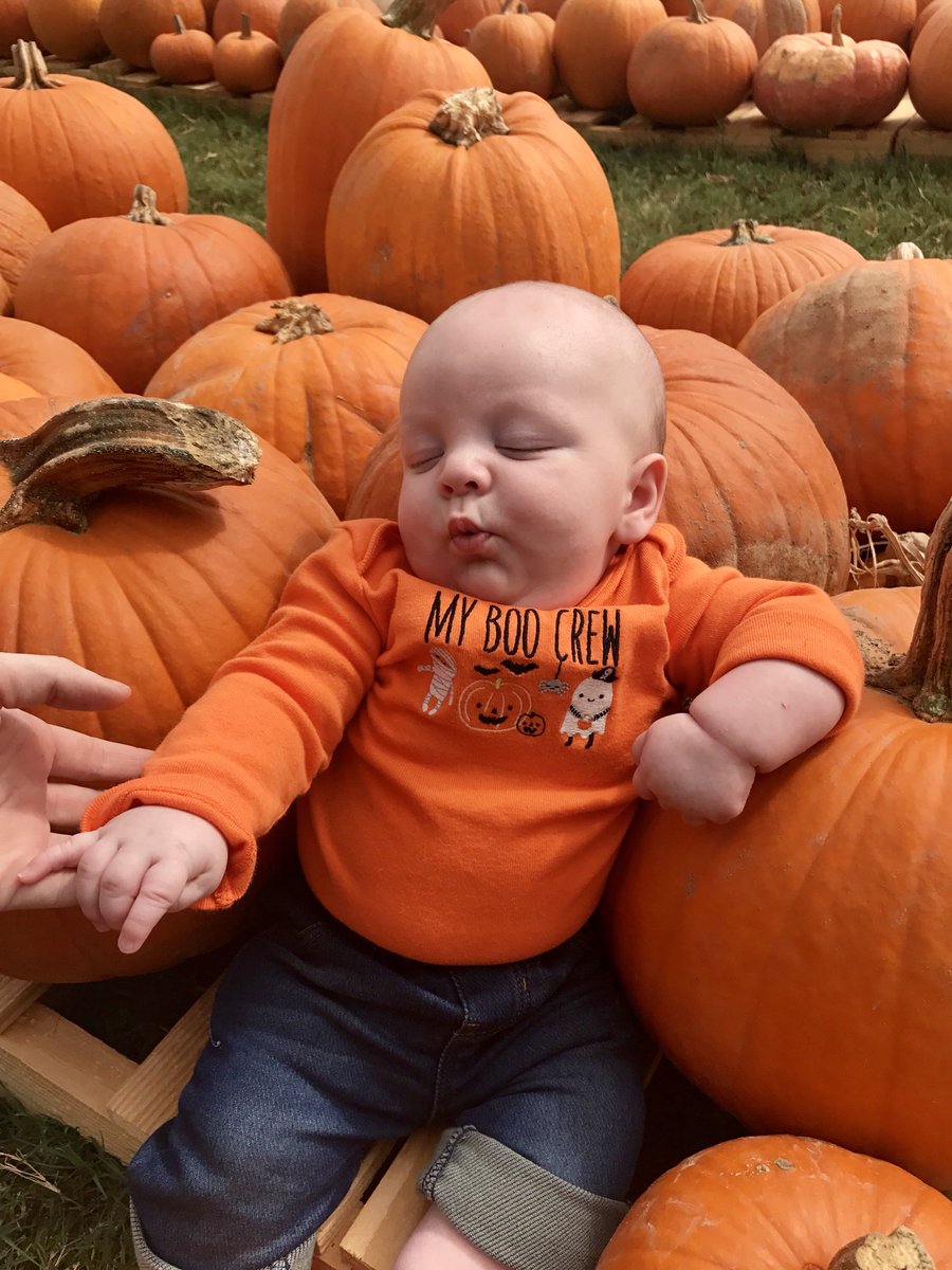 lindsraay's tweet photo. My sleepy pumpkin 🎃💤 https://t.co/dZZvIiyQq9