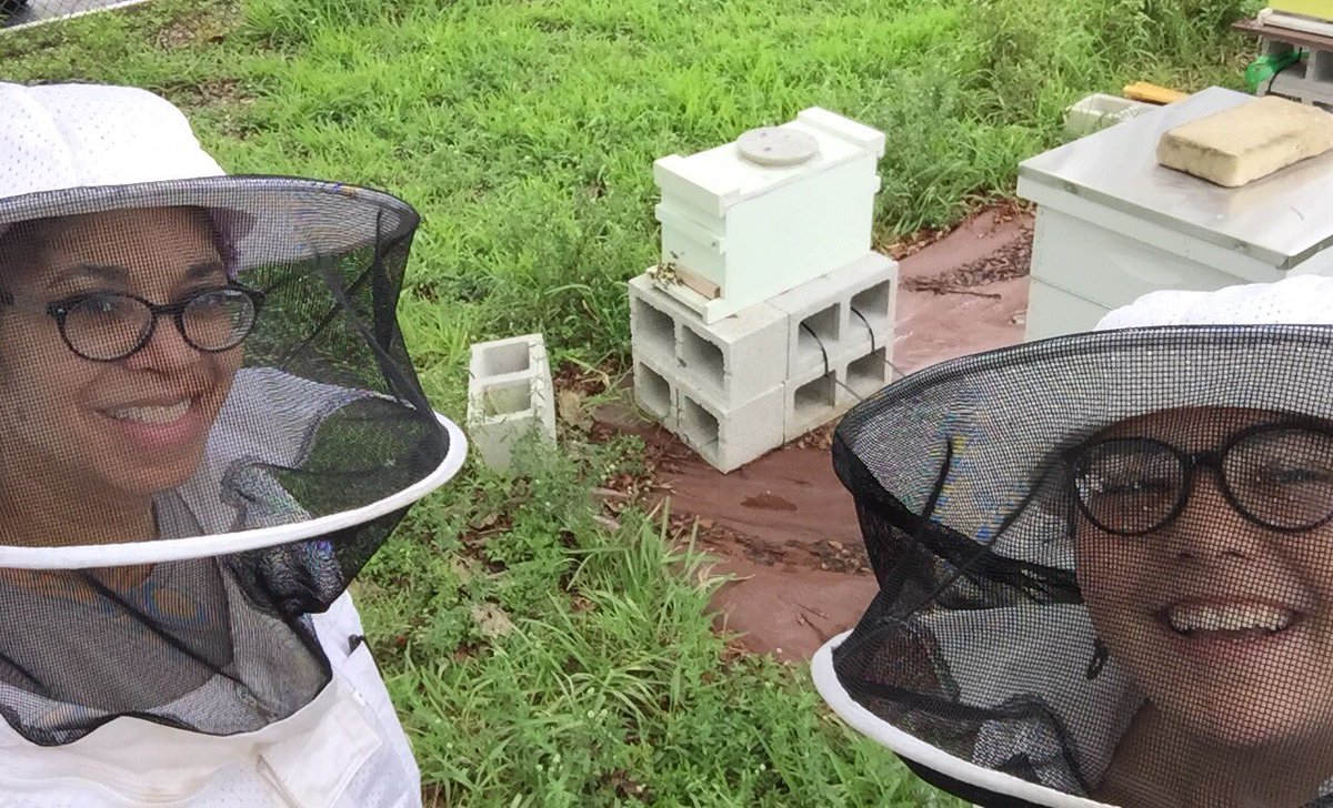 BeeFreeApiary's tweet image. Enjoying time with our honeybees today!