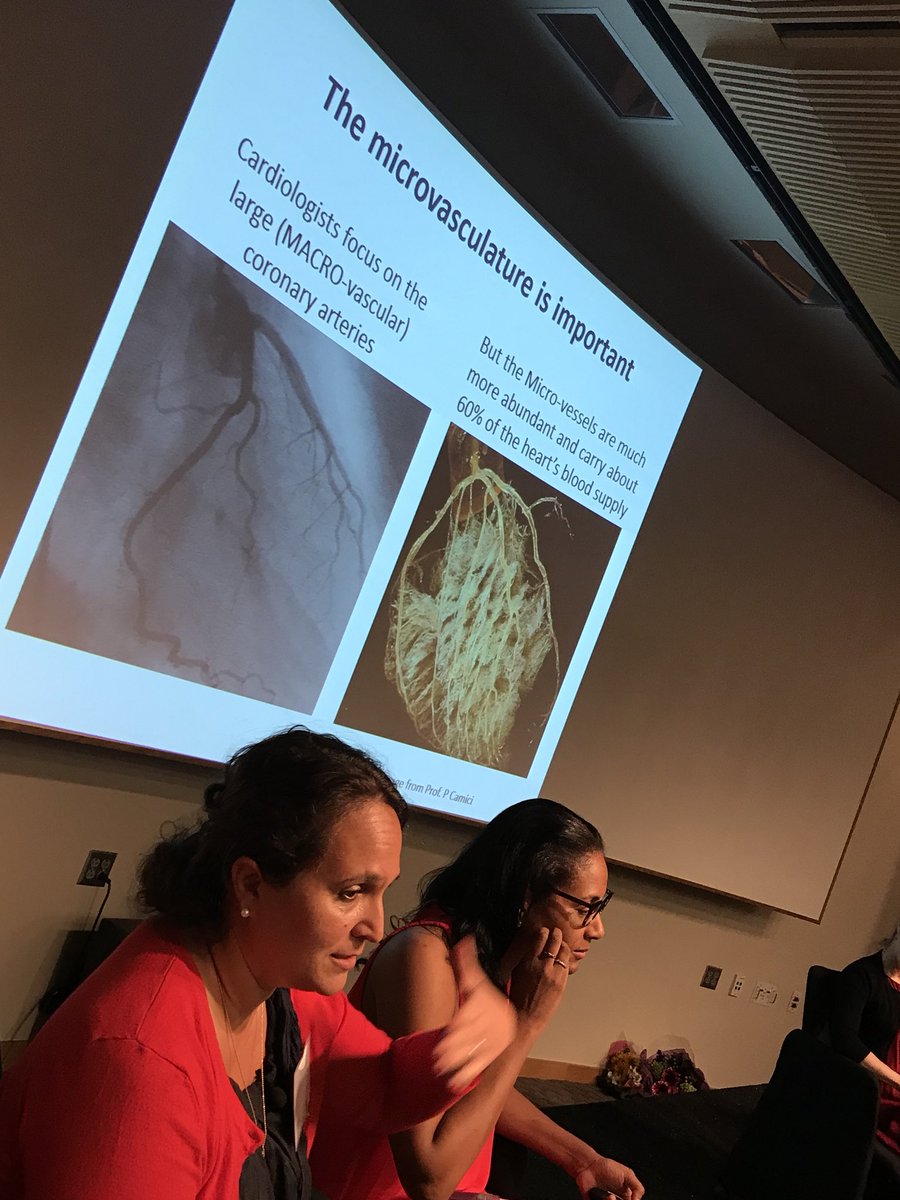 UCLAHealth's tweet photo. Dr. @MCalfonPressMD Co-Director of #UCLAWomensHeart discusses how women may have chest pain from microvascular disease #LetsTalkHeart https://t.co/faMjv8fgeO